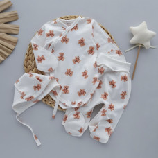 Набір 3в1: Боді, повзунки та шапочка на зав’язках Ведмедики плюшевий (Футер - з начосом) 62 (3-6міс)